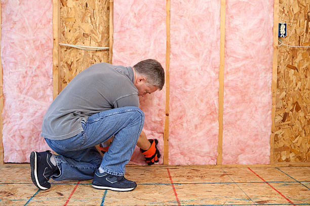 Best Insulation Contractors for Homes  in Rehobeth, AL