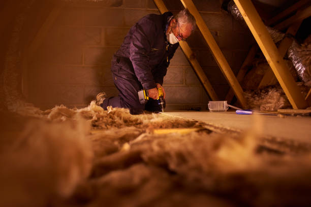 Professional Insulation Contractor in Rehobeth, AL